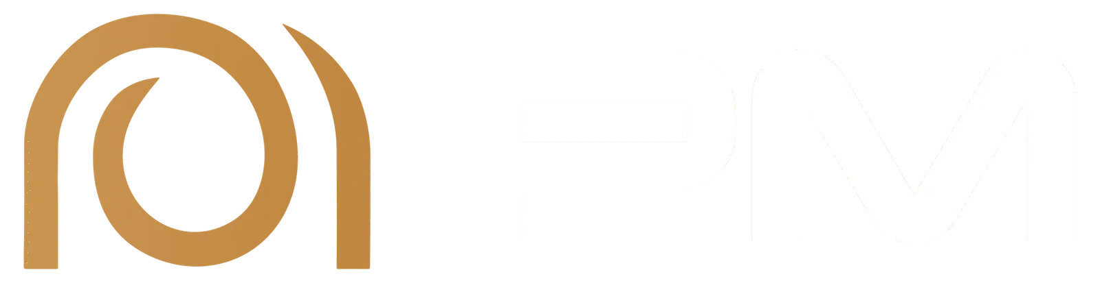 pmg logo